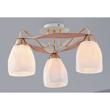 Потолочная люстра Citilux Формула CL167131