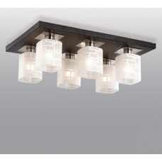 Потолочная люстра Odeon Light Campus 2615/6C