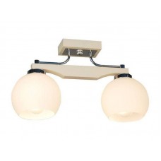 Потолочный светильник Citilux Ариста CL164322