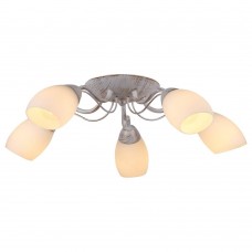 Потолочная люстра Arte Lamp Carlo A8105PL-5WG Потолочная люстра Arte Lamp Carlo A8105PL-5WG