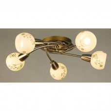 Потолочная люстра Citilux Соната CL520153 Потолочная люстра Citilux Соната CL520153