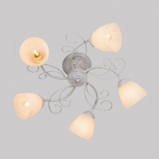 Потолочная люстра Eurosvet 30097/5 белый с серебром