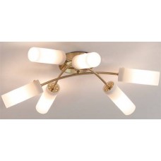 Потолочная люстра Citilux Новелла CL122162