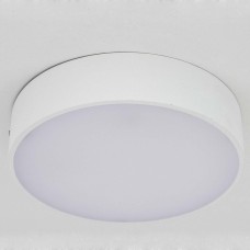 Настенно-потолочный светильник Citilux Тао CL712R180