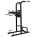 Стойка для подтягиваний DFC Athletic PK020