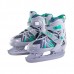 Коньки ледовые раздвижные Ice Blade Wild р.M/34-37